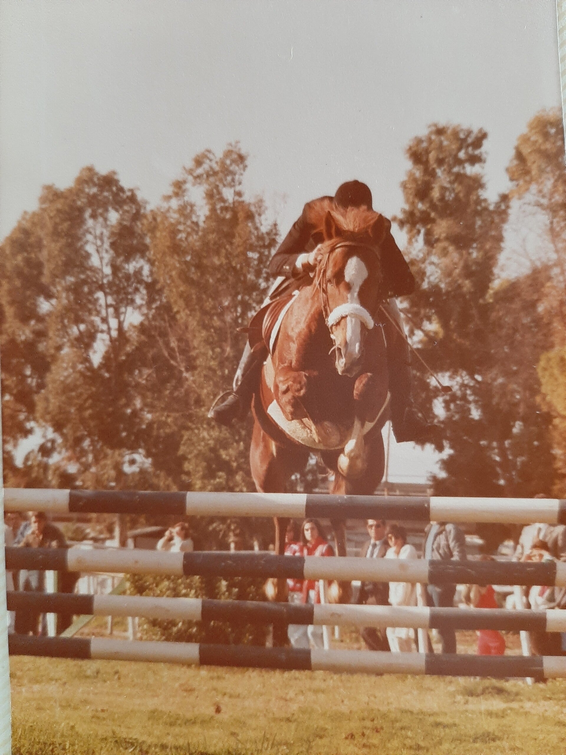 Fabio Va Than, 1984