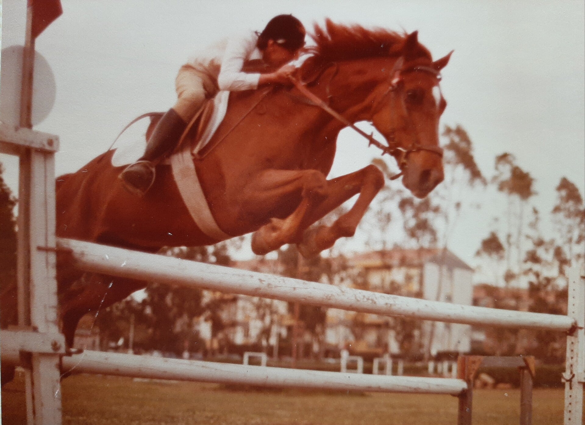 Fabio su Voilà del Lechereo, 1981