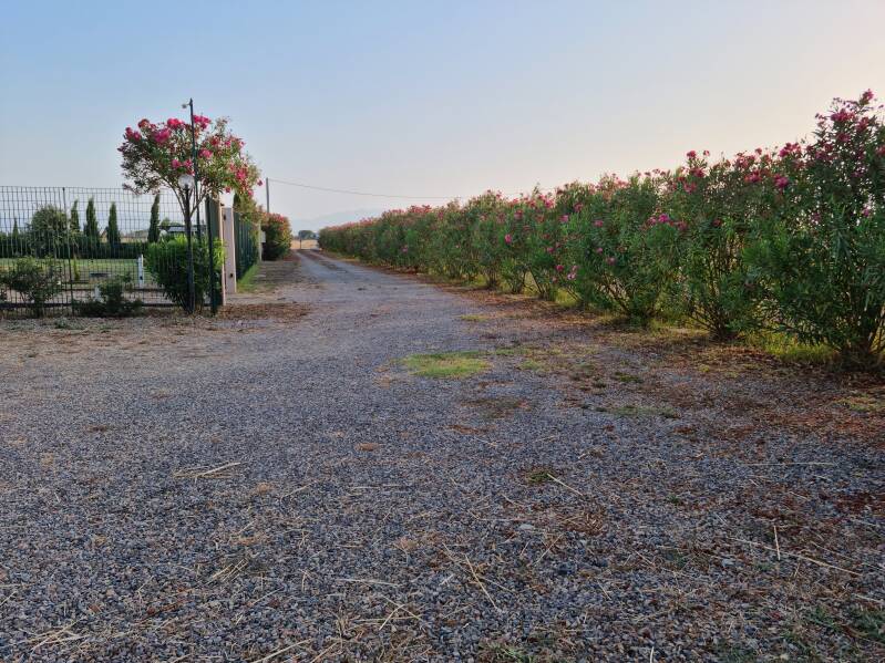 viale di ingresso