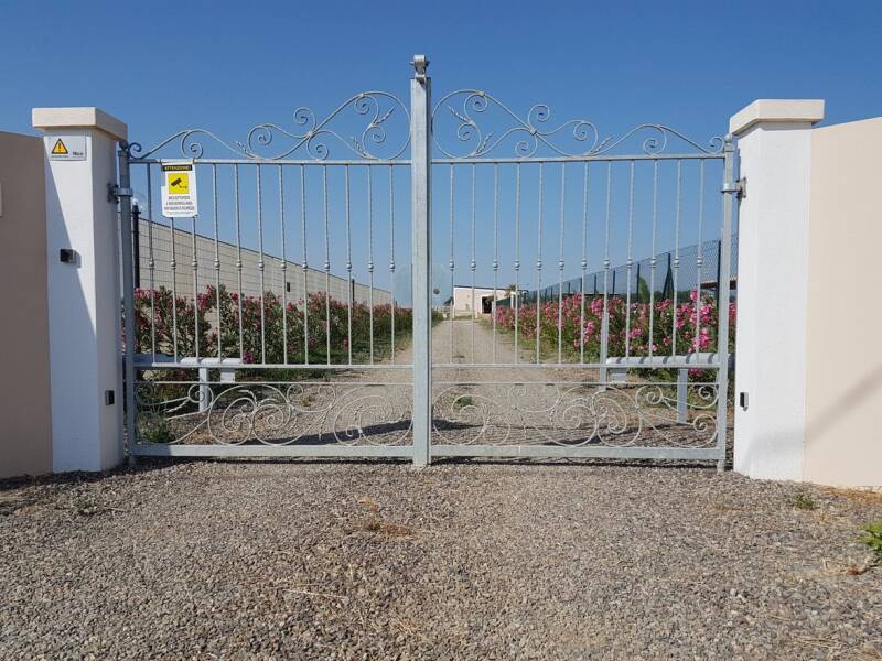 ingresso