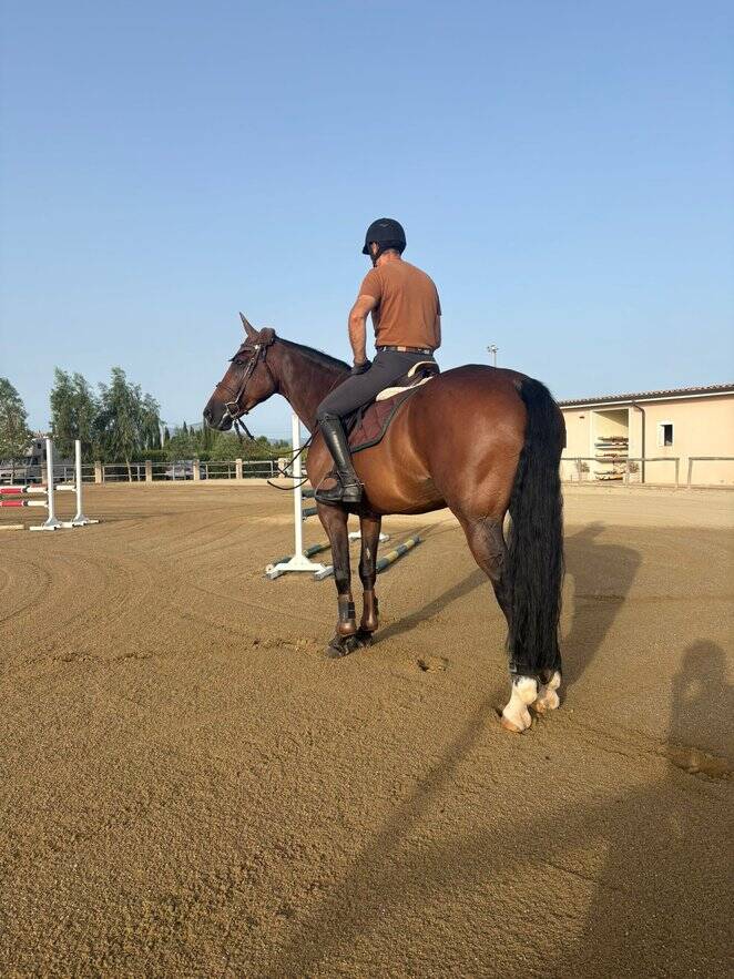 Briseide Star
