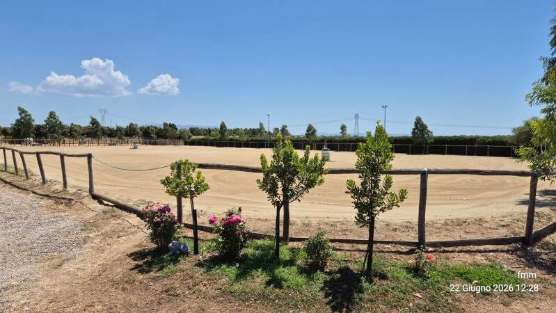 campo