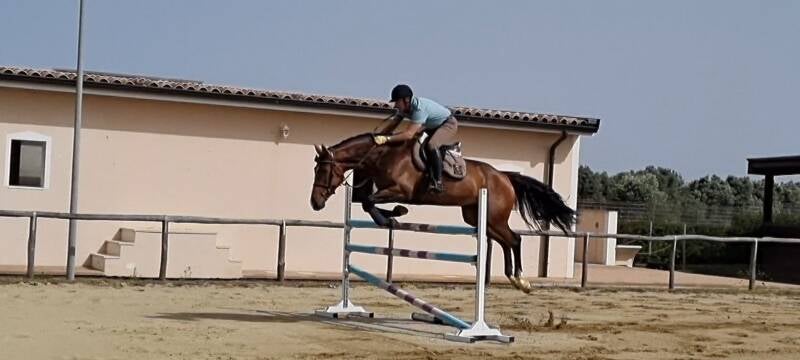 Briseide Star