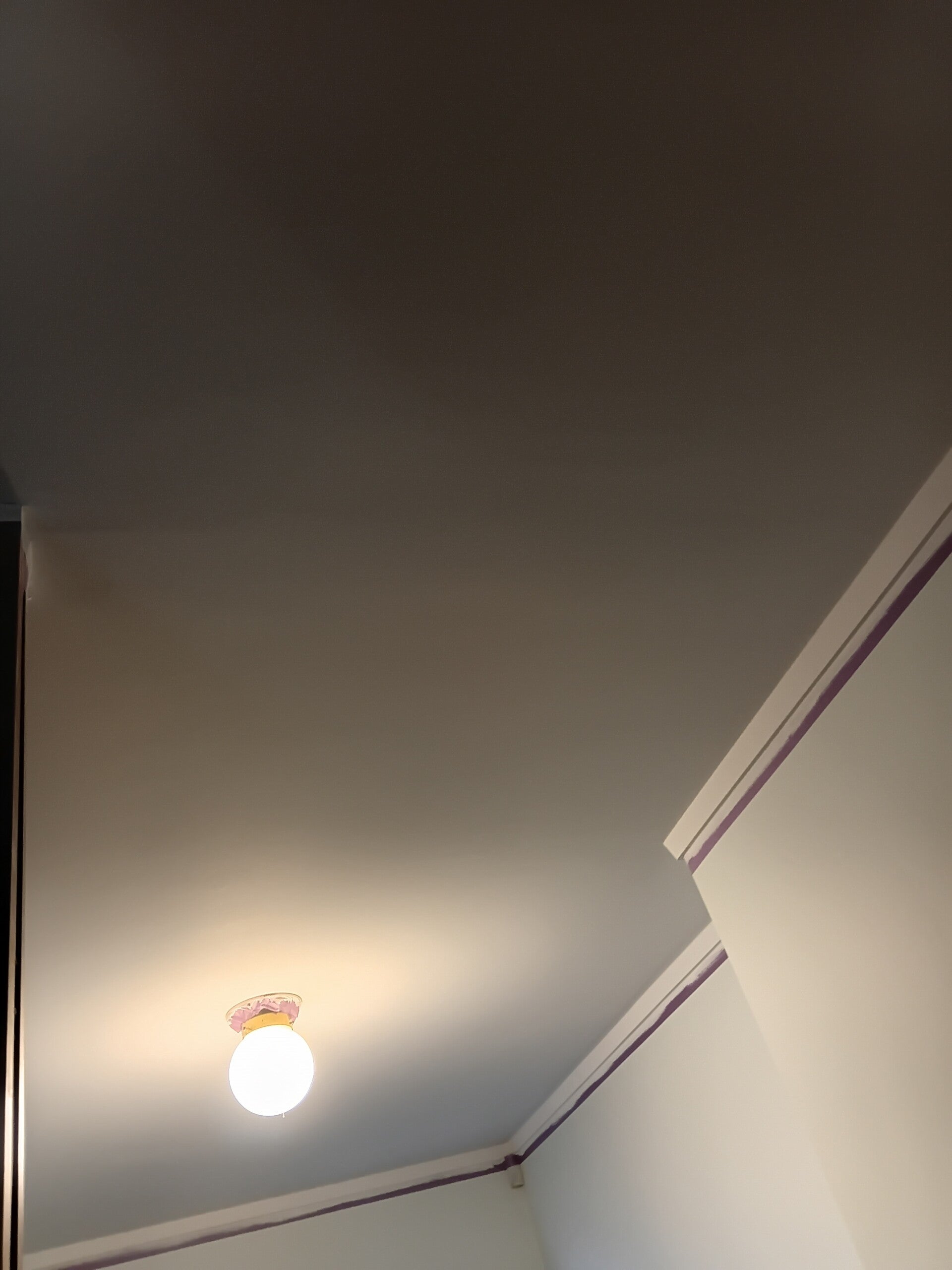 9ecb3aa5-e38d-4dee-8c69-6b3ab1645b7e-1_all_2438-standard.jpg