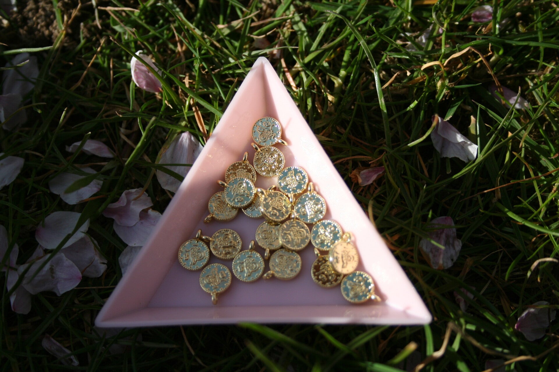 muntjes (goud en zilver)