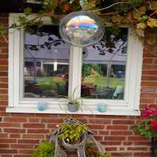 img-20240817-wa0018-standard.jpg