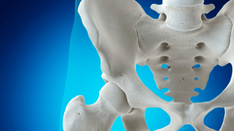 bekken info. dit is het bekken. wat is het bekken. bekken bot. schaambeen