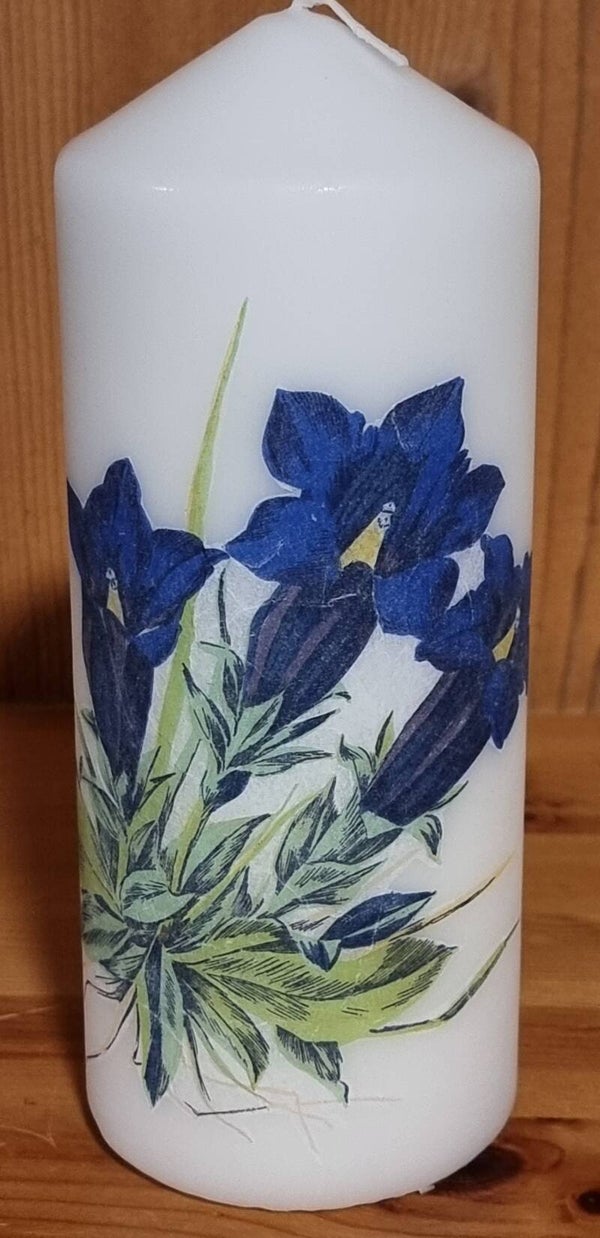 Kerze Enzian gross - weiss 20 x 8 cm - Art. 159