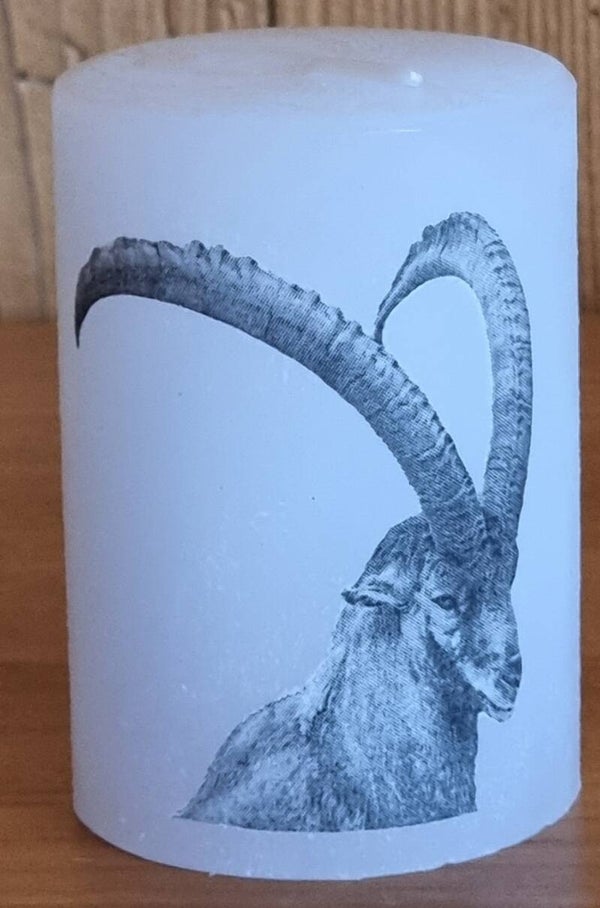 Kerze Steinbock Rauhreif klein - 8 x 5.8 cm - weiss - Art. Nr. 180