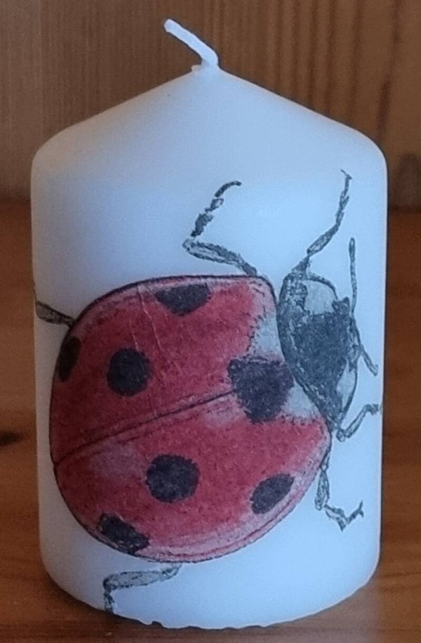 KerzeGlückskäferr - weiss - 10 x 6.8 cm - Art. Nr. 183
