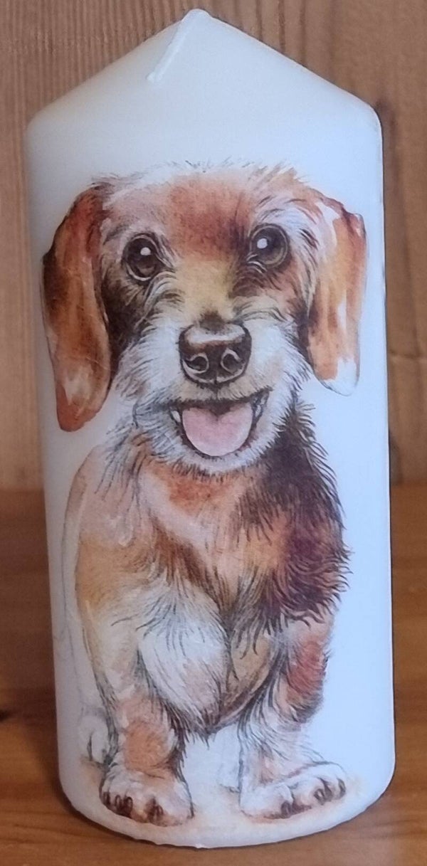 Kerze Rauhaardackel - weiss 16 x 7 cm - Art.Nr. 185