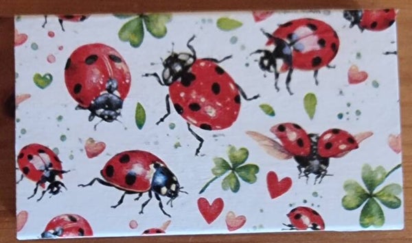 Streichhölzer 9.5 cm - 40 Stk. - weiss /rot - Art. Nr. 318