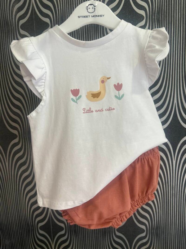 Conjunto pato