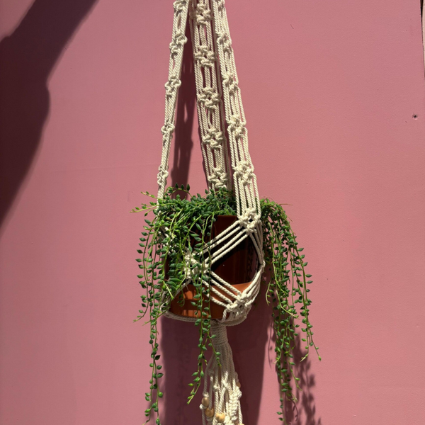 Macramé plantenhanger