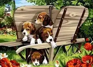 Vier Hondjes in een Kar Vierkant 40x50
