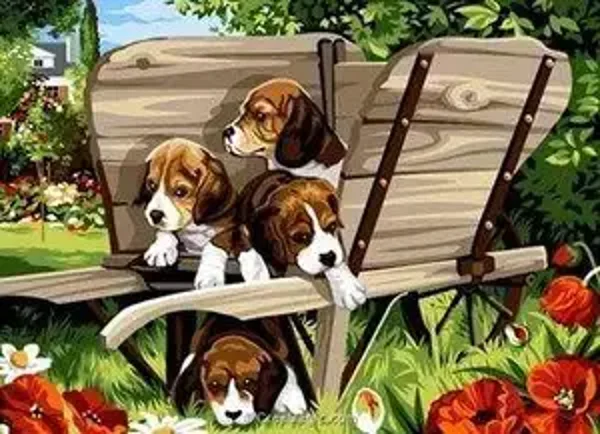 Vier Hondjes in een Kar Vierkant 40x50