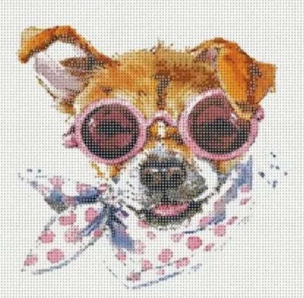 Chihuahua Rond 35x35