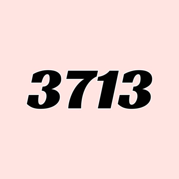 3713