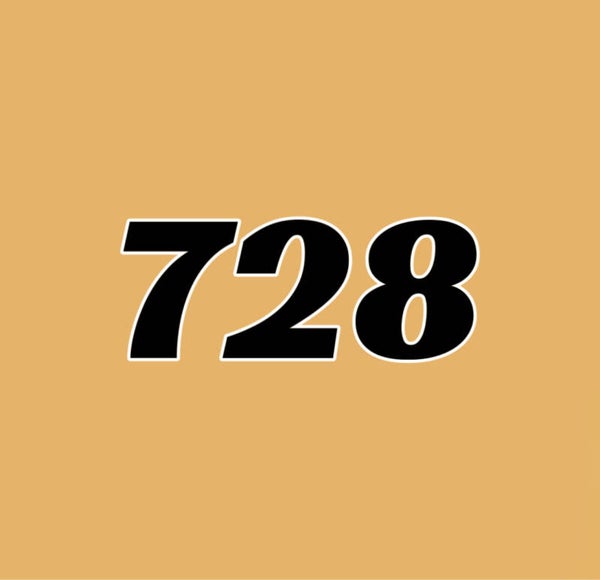 728