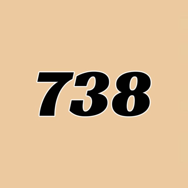 738