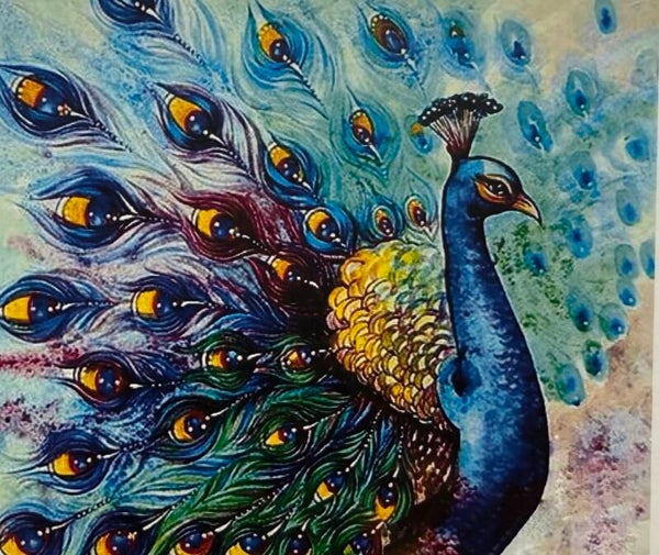 Pauw op frame 40x50 Rond