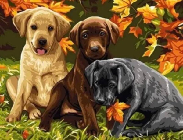 Painting Puppy’s 40x50 vierkant voor Suus