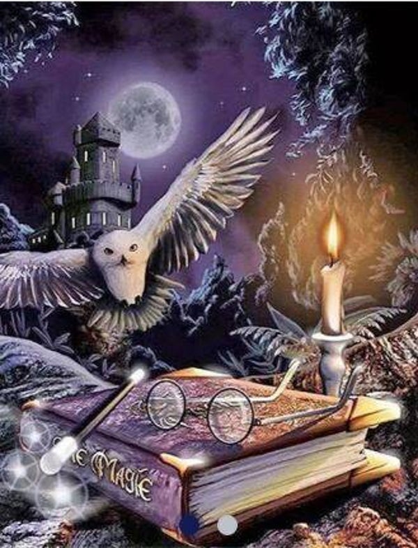 Harry Potter 30x40 Rond
