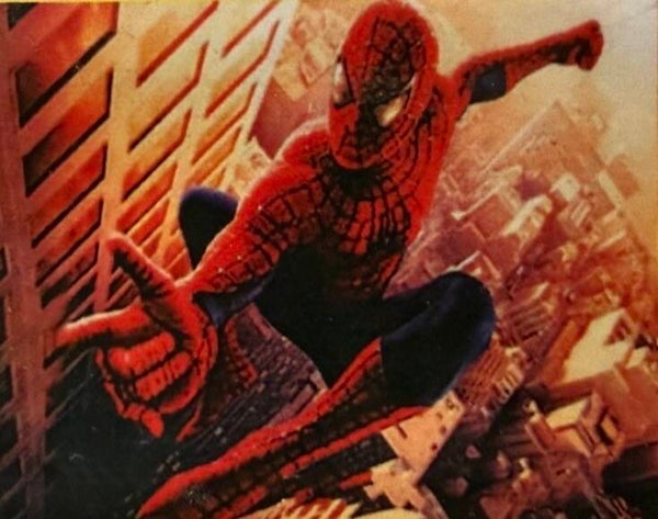 Spiderman Rond 40x50