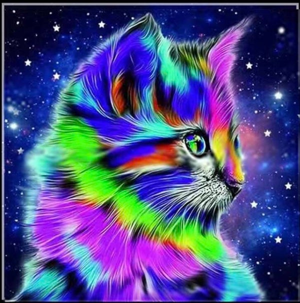 Colorful Kitten Vierkant 30x40