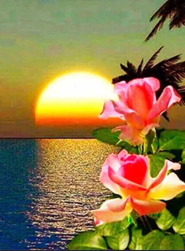 Sunset Flowers Vierkant 30x40