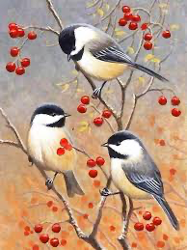Cute Little Birds Vierkant 30x40