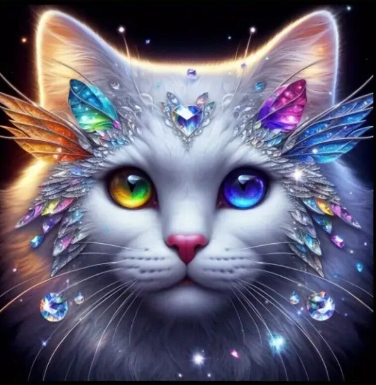 Jewel Kitten Rond 60x60