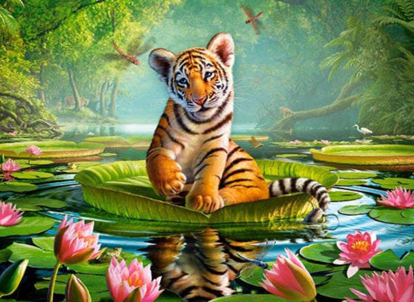 Tijger met Waterlelies 25x30 vierkant