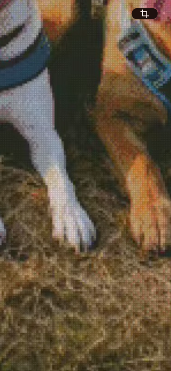 Daniëlle B.- B. Custom Hondjes 60x80 Vierkant