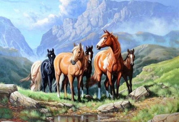 Kudde Paarden 2 Vierkant 40x50