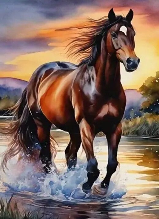 Paard Galop Vierkant 30x40