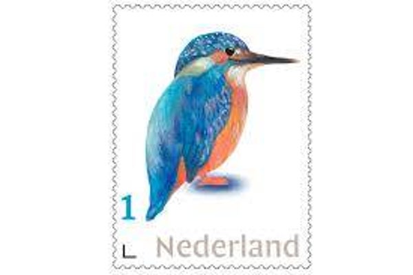 Extra kosten voor bezorging buiten NL, maar binnen Europa