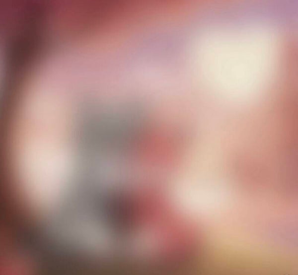 Valentijn Mystery Painting Limited Edition 50x50