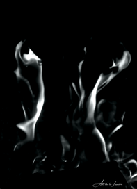 buste-standard-scpulq.png