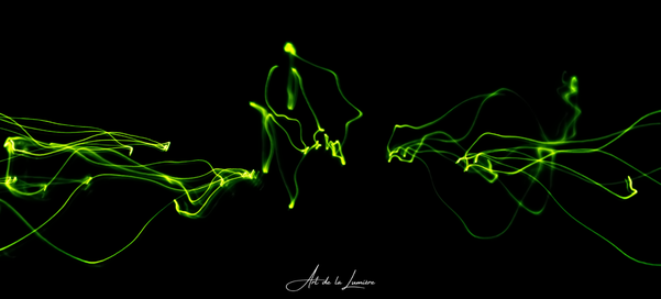 dsc_0422-standard.png