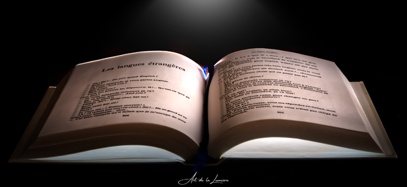 livre-standard.png