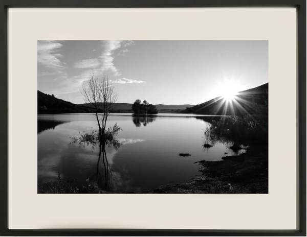 HONNORAT Coralie - Chimère (Photographie)