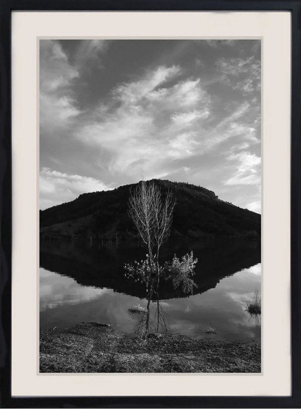 HONNORAT Coralie - Totem (Photographie)