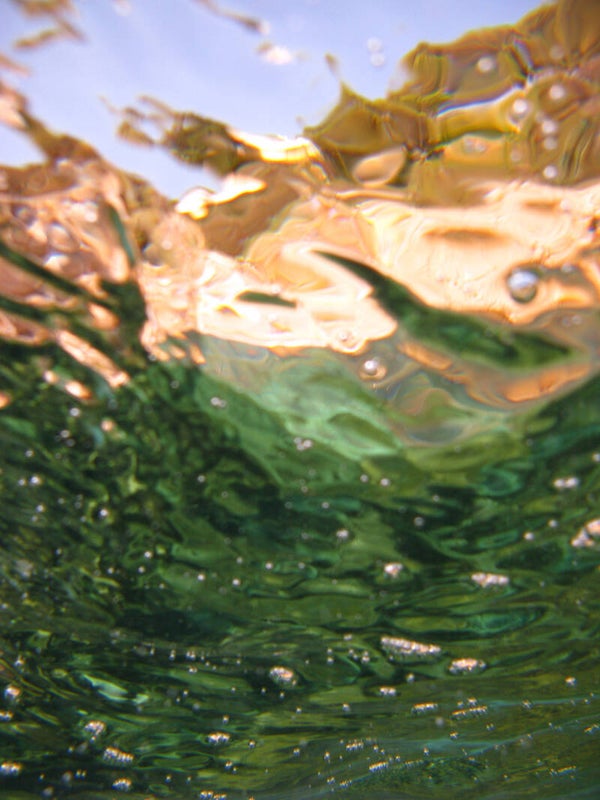 LAVENAIR Christopher - Green and gold (Photographie)
