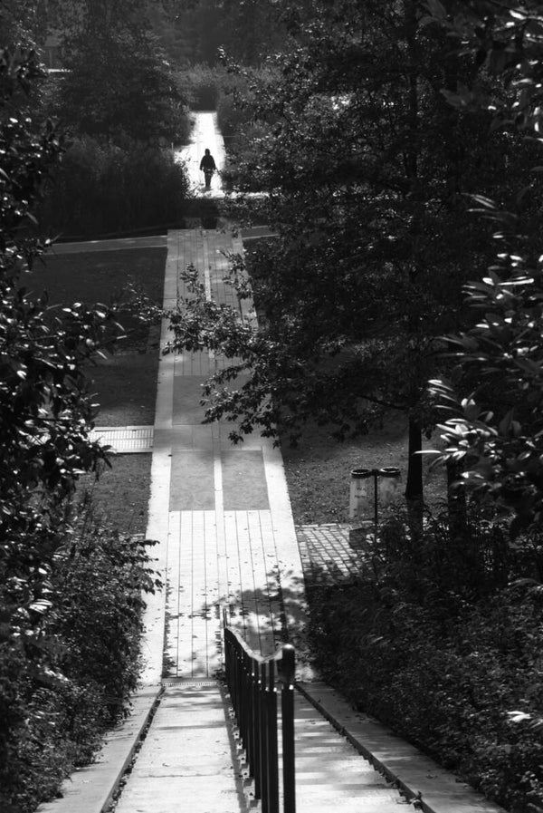 QUIGNETTE Fabrice - Solitude au Parc de Bercy (Photographie)