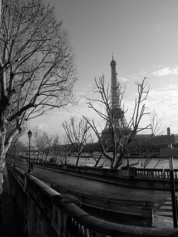 QUIGNETTE Fabrice - Tour Eiffel - 1  (Photographie)