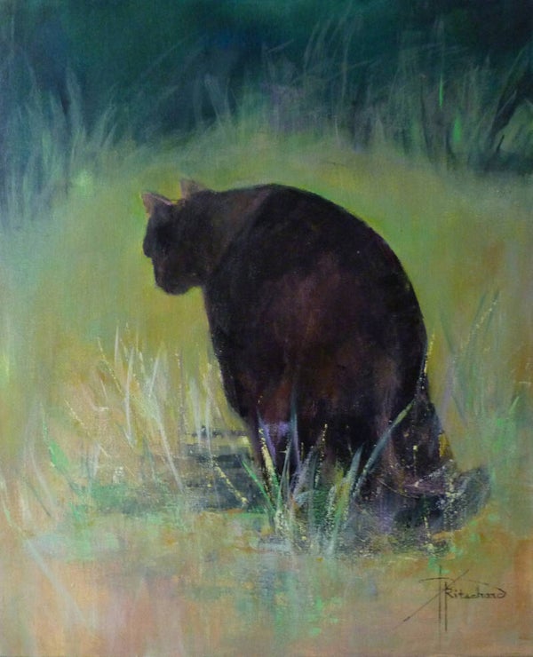 RITSCHARD Patricia - Le chat'temite