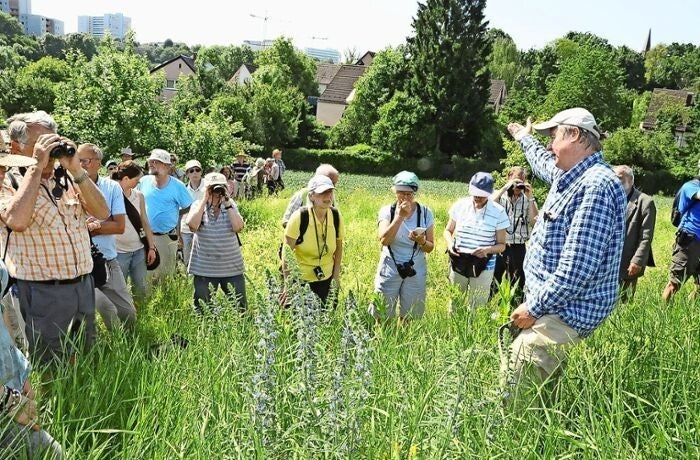 Foto: Georg Linsenmann