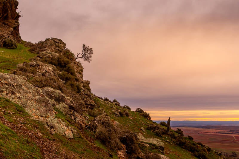 Mt. Bryan