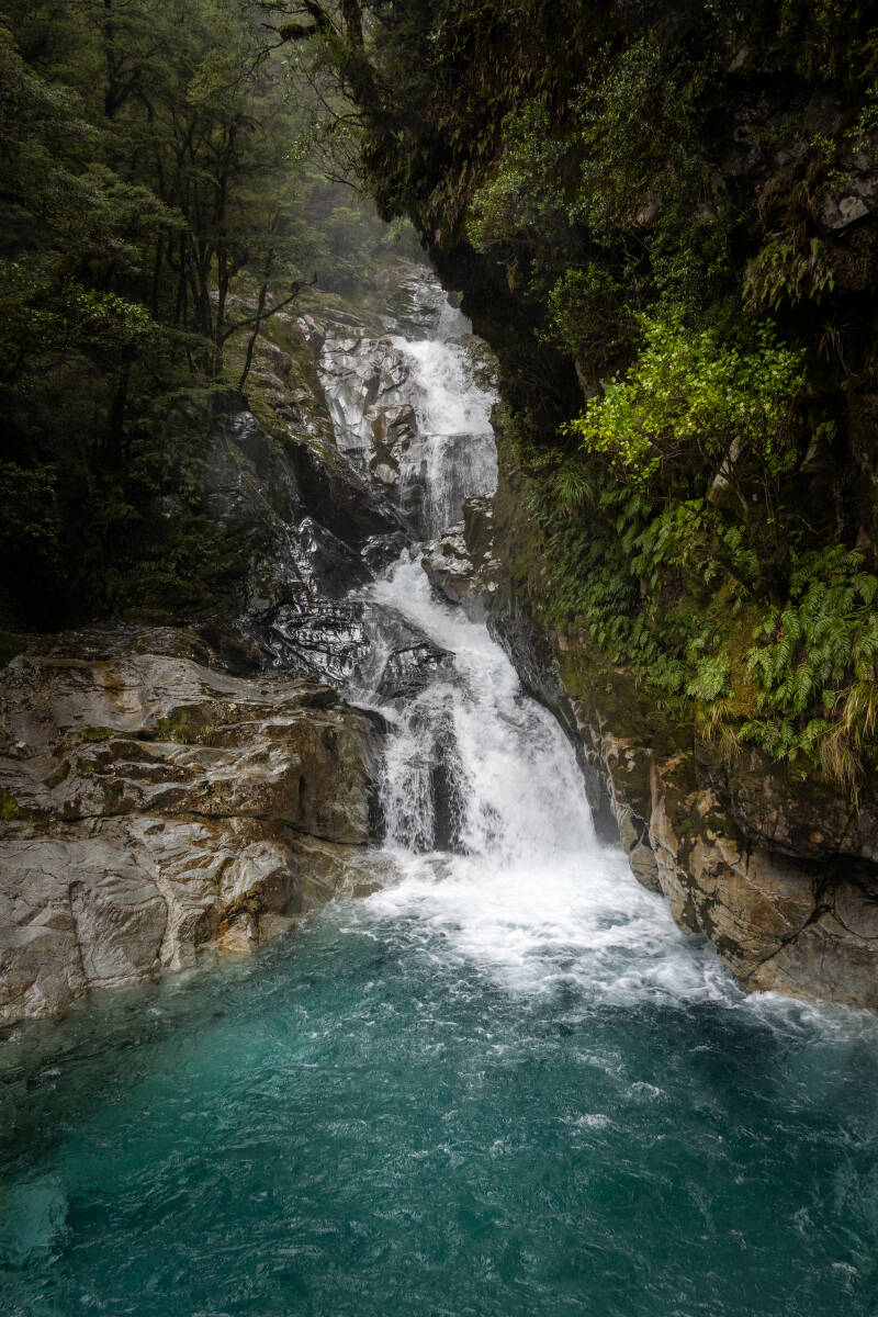 Milford Sound Path